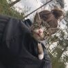 sassycattcloset